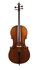 German cello ca1900_