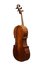 Duitse cello ca.1900_