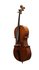 Duitse cello ca.1900_