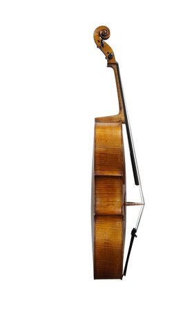 German cello early 20th century